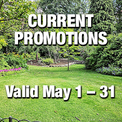 Current Promotions