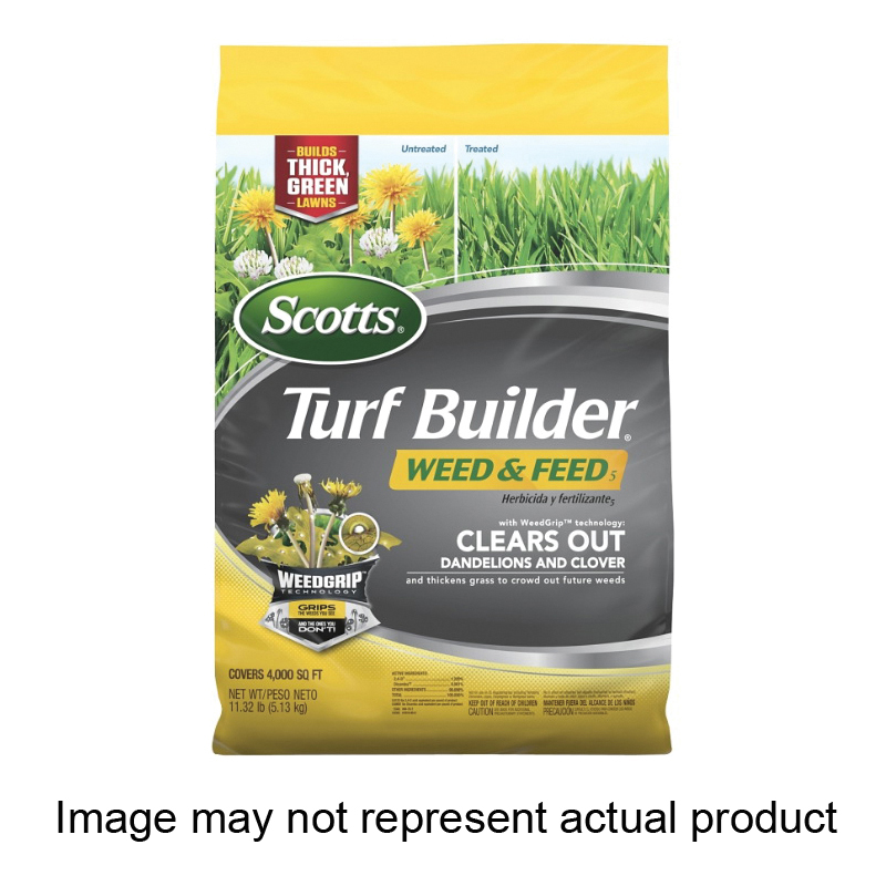 Lawn