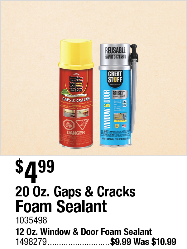 20 Oz. Gaps & Cracks Foam Sealant